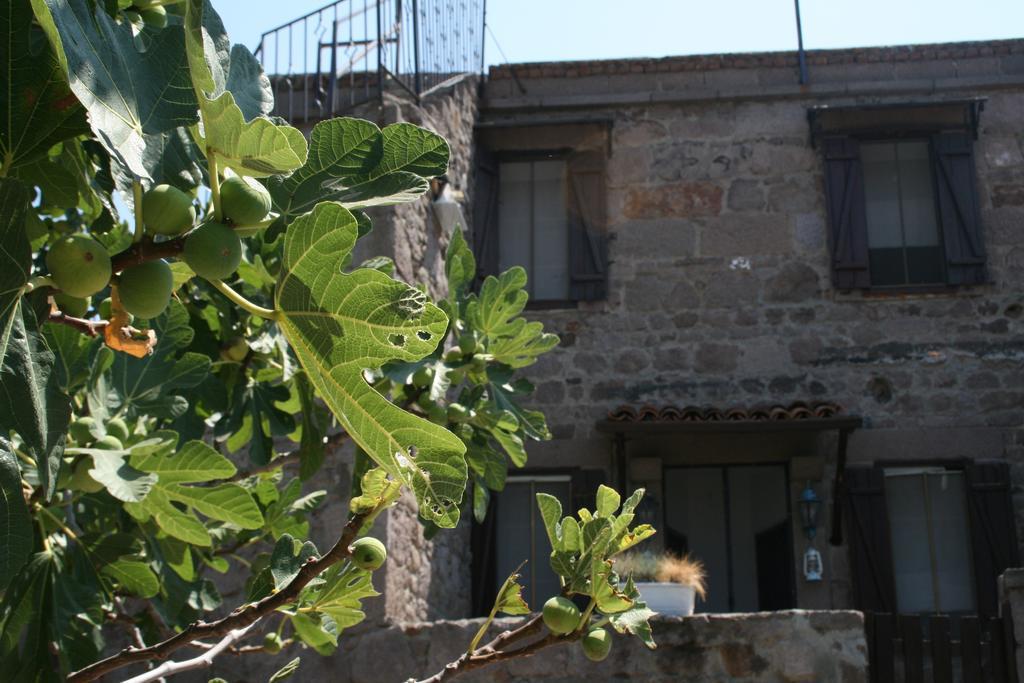 Assos Bohemian Hotel Eksteriør billede